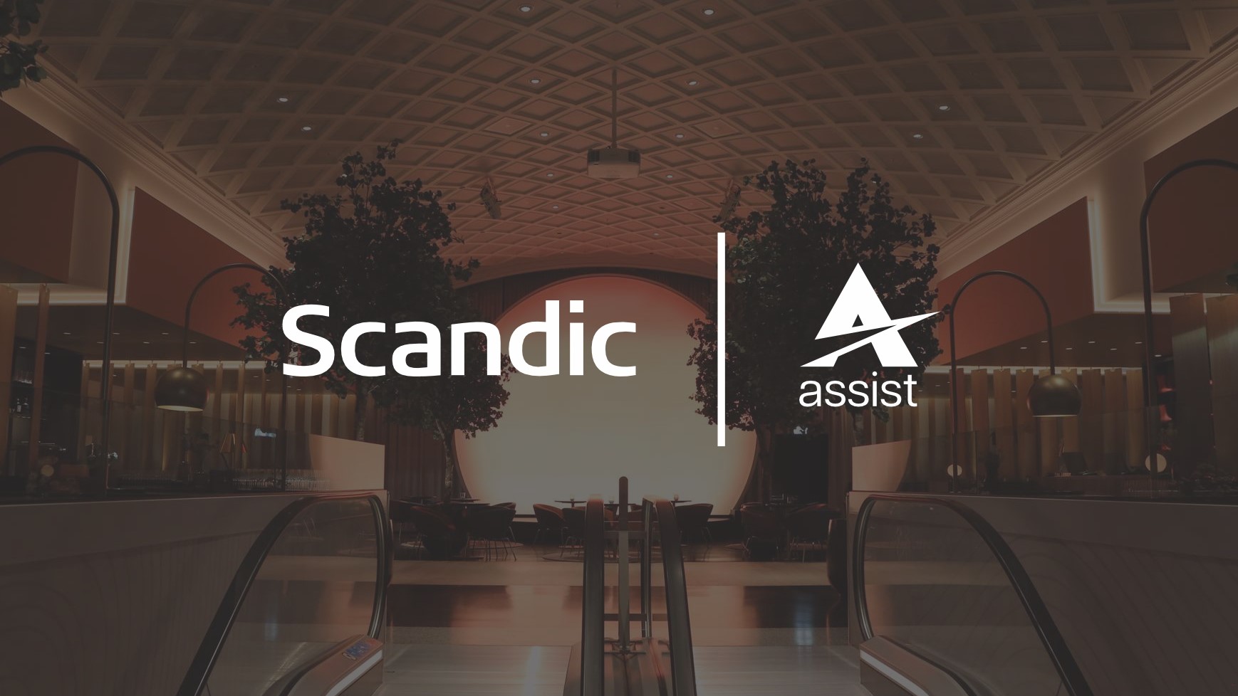 scandic web